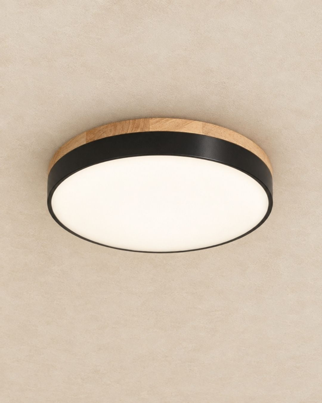 Feno ceiling light in black, product photograph
