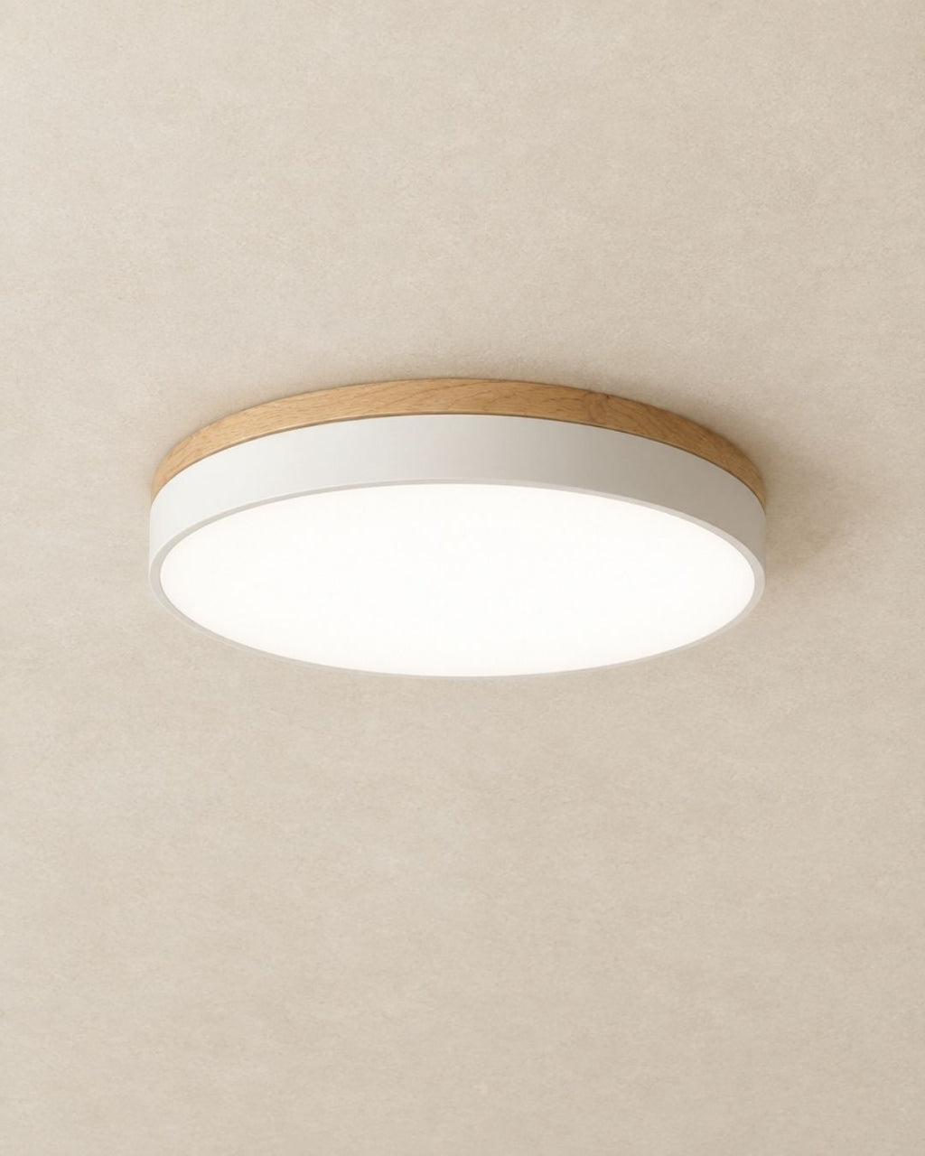 Feno ceiling light in white, product photograph