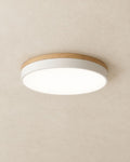 Feno ceiling light in white, product photograph