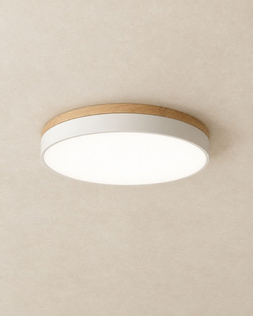Feno ceiling light in white, product photograph