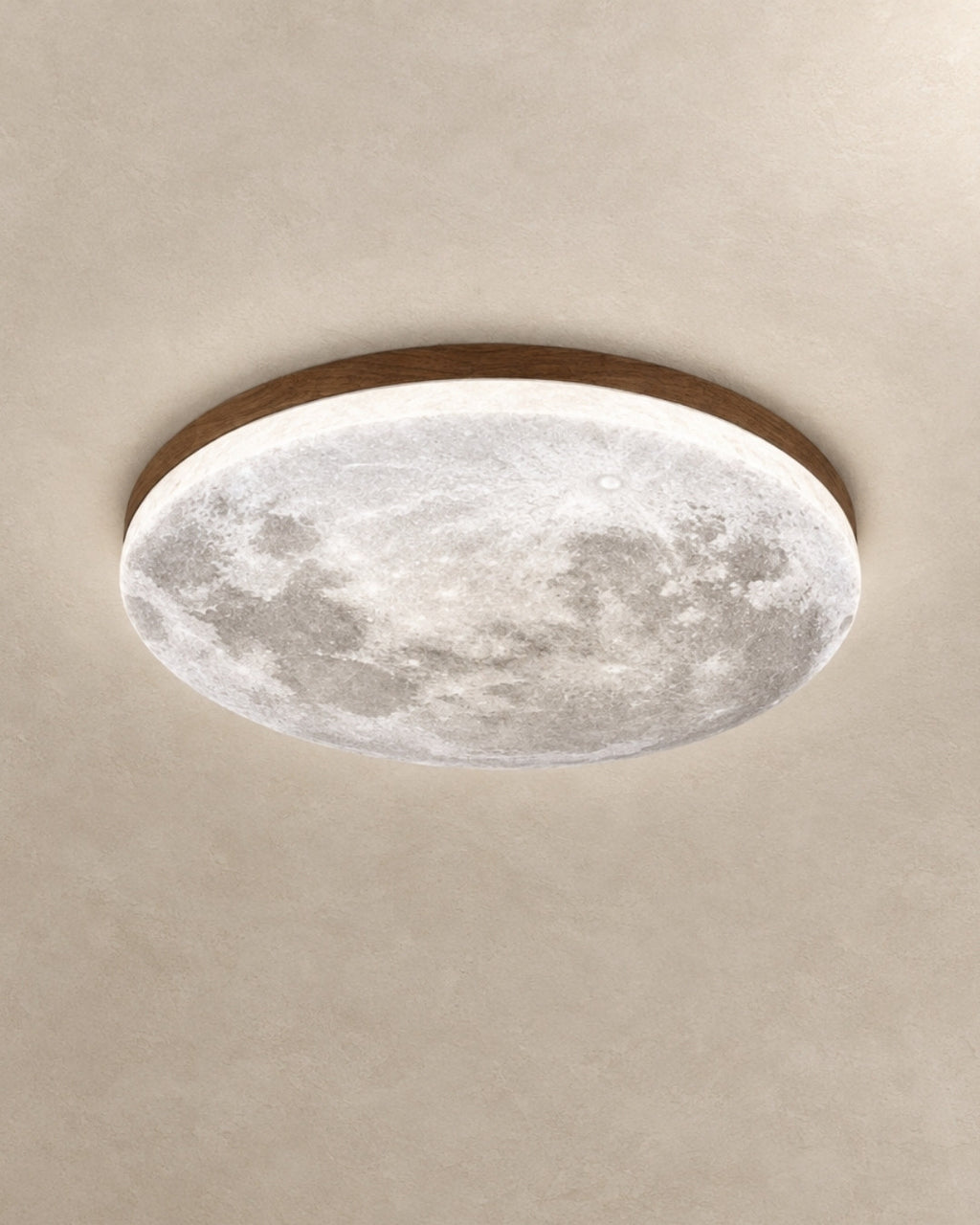 Erva ceiling light in cold walnut, product photograph