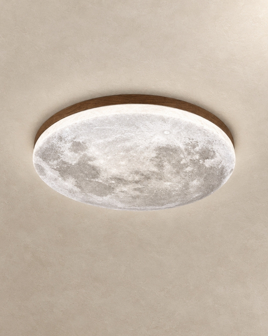 Erva ceiling light in cold walnut, product photograph